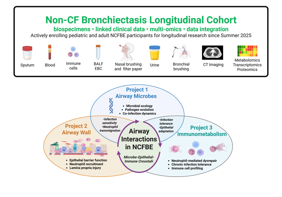 Non-CF Bronchiectasis Translational Research Longitudinal Cohort
